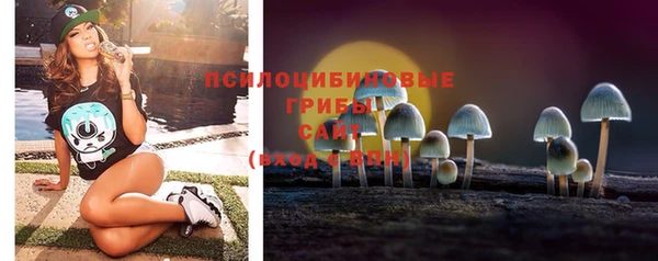 2c-b Алексеевка