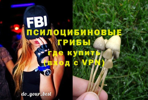 соль ск Абдулино
